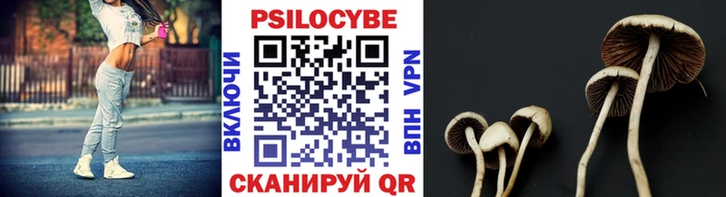 Купить  Ярцево  Псилоцибиновые грибы мухоморы 